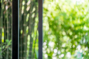 Bulanık yeşil yaprak ve sarmaşığın arka planı Pazartesi sabahı bahçede olacak..