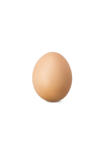 Rhode Island Red Chick Egg Sfondo Bianco Chiaro Sentieri Ritaglio — Foto Stock