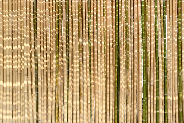 Bambusové Pozadí Pozadí Batohy Jsou Uspořádány Zeď Plot Dopoledních Hodinách — Stock fotografie