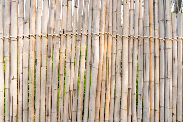 Бамбуковые Столбы Связаны Вместе Ряд Перегородки Стены — стоковое фото