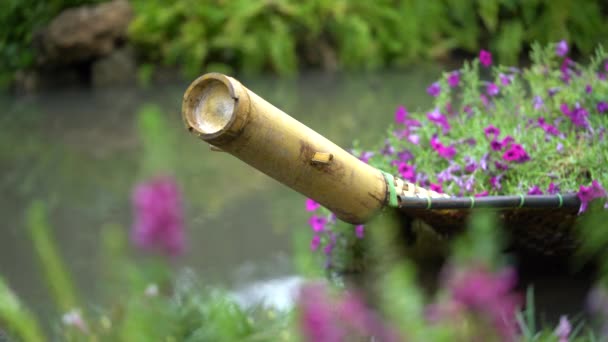 創造的なクラフトウィッカーボートの形は 庭のミニ川に浮かぶその中の花をロードします — ストック動画