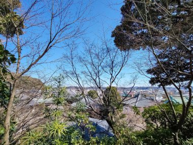 Kamakura, Japonya 'nın çatı manzarası, 14 Mart 2024 tarihinde çekilen açık gökyüzü, mavi okyanus ve dağlarla kıyı şehrini gösteriyor..