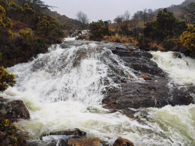 Su, Red-a-ven Brook, Dartmoor Ulusal Parkı, Devon, İngiltere 'deki kayaların üzerinden çağlayarak akıyor.