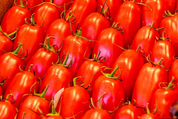 Antecedentes Los Tomates Romaníes Tomate Ciruela También Conocido Como Tomate —  Fotos de Stock