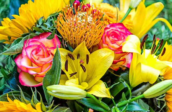 노란색과 색상에 꽃다발 — 스톡 사진