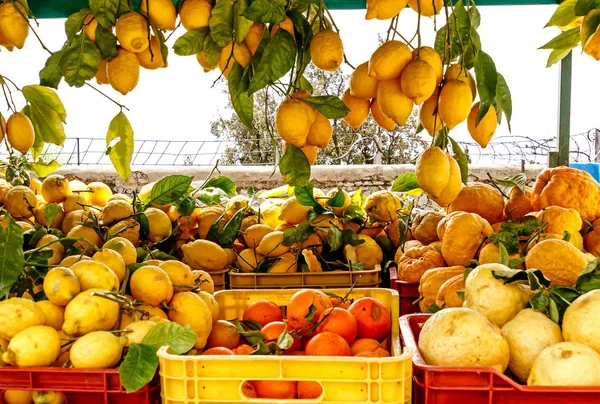 Pyszne Włoskie Cytryn Wybrzeże Amalfi Włochy — Zdjęcie stockowe