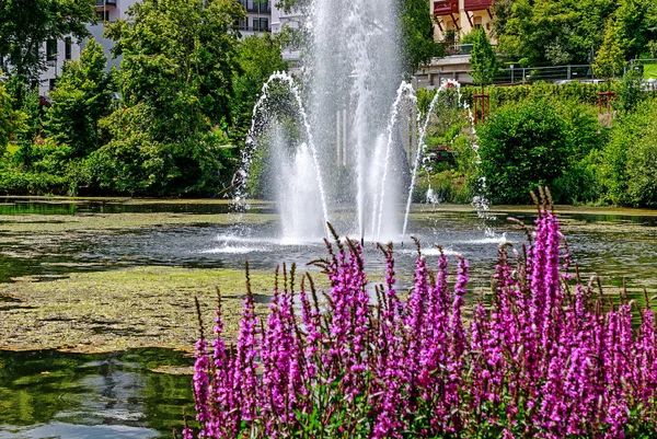 Étang Pittoresque Avec Fontaine Dans Parc Thermal Bad Schwalbach Hesse — Photo