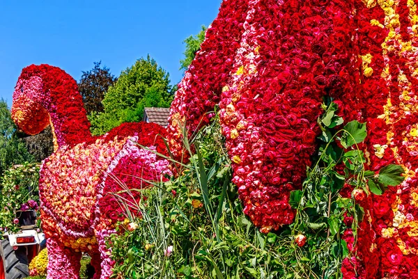 バート ナウハイムの近く Steinfurth Rosenfest でバラの何千もの Steinfurth ドイツ 2018 巨大な恐竜 ドイツの — ストック写真