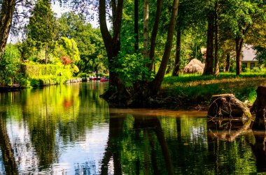 Spreewald Berlin, Almanya - doğa rezerv ve biyosfer rezerv - muhteşem çayır ve İdil, moorland ve peri masalı yakınındaki küçük kanallar aracılığıyla bir acelesiz tekne gezisinde çok romantik olur.