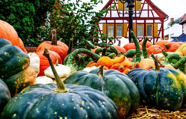Beautiful Fall Display Freshly Harvested Colorful Pumpkins German Weekly Market — Stock Photo, Image
