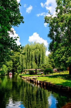 Spreewald Berlin, Almanya - doğa rezerv ve biyosfer rezerv - muhteşem çayır ve İdil, moorland ve peri masalı yakınındaki küçük kanallar aracılığıyla bir acelesiz tekne gezisinde çok romantik olur.