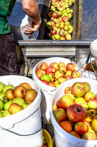 农夫送苹果到德国黑森的苹果酒酒厂 — 图库照片
