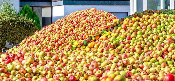 Mountains Apples Making Cider Hesse Germany — Stock Photo, Image