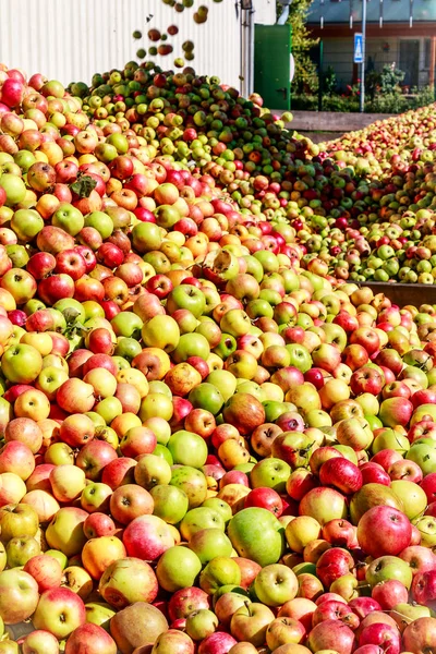 Mountains Apples Making Cider Hesse Germany — Stock Photo, Image