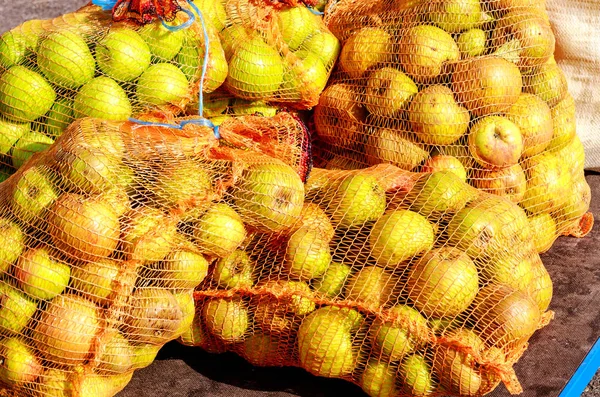 Rich Apple Harvest 2018 Germany Large Net Bags Full Beautiful — Stock Photo, Image
