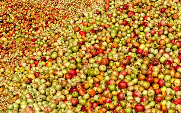 德国黑森 苹果背景 丰富的苹果酒和苹果汁收获 — 图库照片