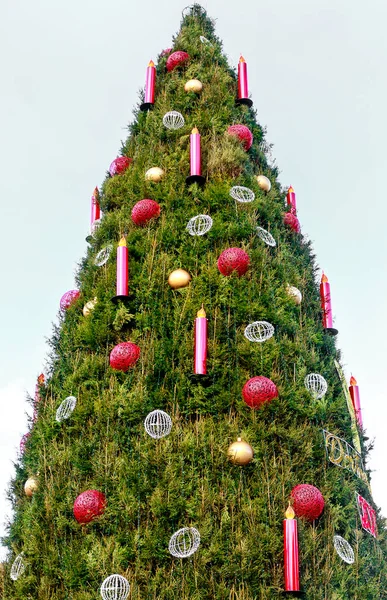 Enorme Árbol Navidad Hecho Cientos Abeto Rojo Viejo Mercado Dortmund — Foto de Stock
