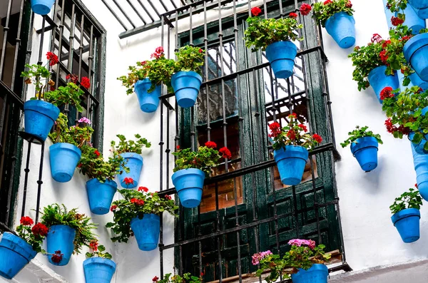 Jardinería Aire Libre Macetas Azules Pared Casa Patio Español — Foto de Stock