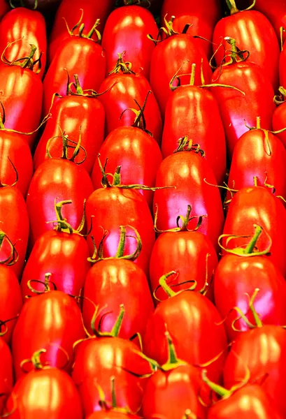 Sfondo Pomodori Rom Pomodoro Prugna Noto Anche Come Pomodoro Trasformazione — Foto Stock