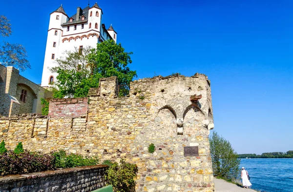 Château Électoral Eltville Dans Rheingau District Vin Mousseux Ville Vin — Photo