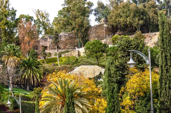 Mooi Tropisch Park Van Malaga Dicht Bij Het Stadhuis Costa — Stockfoto