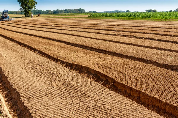 Jordbrukslandskap Modernt Jordbruk Tyskland Beredning Jord För Nästa Grönsaksskörd Midsommar — Stockfoto