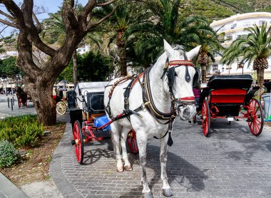 Horse-drawn carriages in the main square of Mijas pueblo, one of the most visited of Andalucias white villages, Costa del Sol.  clipart