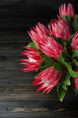 Kırmızı enginar ahşap koyu arka plan üzerinde protea demet