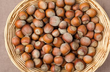 Fındık kabuğuna hafif bir çuval bezi sepet içinde.