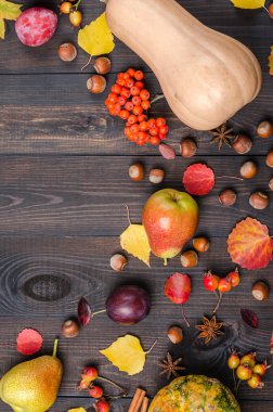 Karanlık sonbahar arka plan kopya alanı ile. Düz yatıyordu.