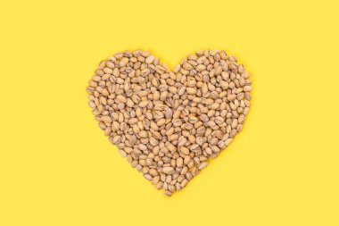 Parlak sarı zemin üzerine Antep fıstığı kalbinde.