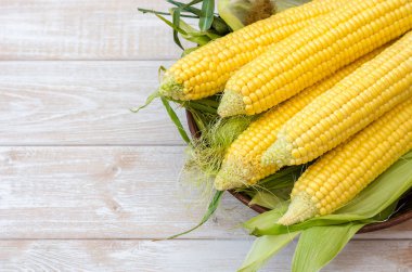 Bir kil kase olgun Mısır. 