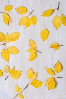 sonbahar arka plan, sarı yaprakları.