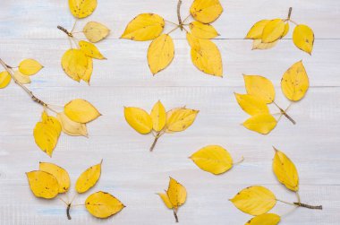 sonbahar arka plan, sarı yaprakları.