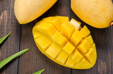 Mango palmiye yaprakları üzerinde.