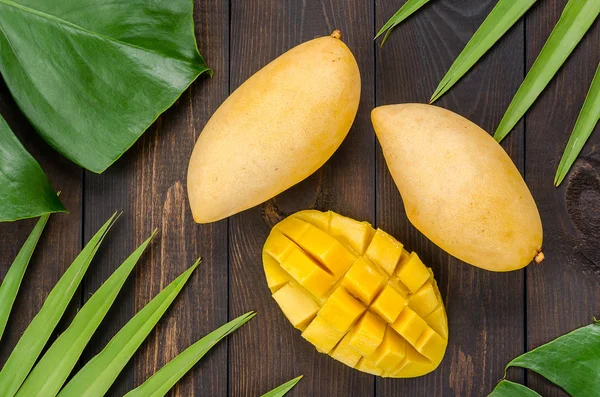 Mango palmiye yaprakları üzerinde.