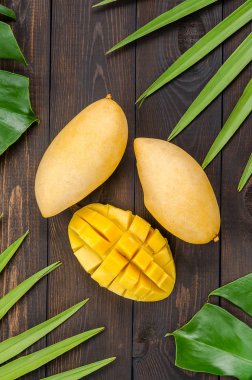 Mango palmiye yaprakları üzerinde.