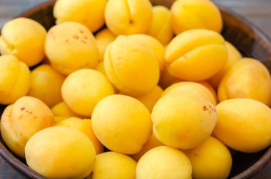 Bir kil kase olgun kayısı.