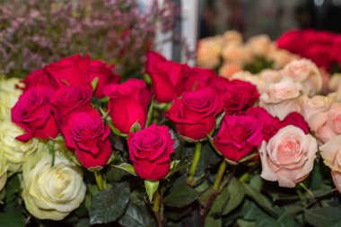 Bir çiçekçide kırmızı güller.