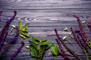 Metin için yer ahşap bir zemin üzerine alan çim. Düz yatıyordu. Üstten görünüm.