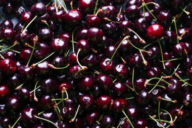 Berry arka plan koyu arka plan üzerinde taze olgun tatlı kiraz ile