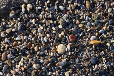 Deniz taşları. Arka plan. Çakıl taşları