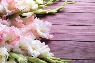 Metin için yer kahverengi ahşap zemin üzerine güzel Glayöl çiçek ile düz yatıyordu kompozisyon. Yukarıdan görüntülemek