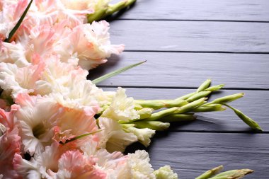 Gri ahşap arka plan üzerinde güzel Glayöl çiçek ile düz yatıyordu kompozisyon 