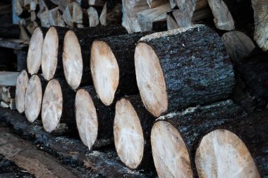 Ahşap doku. Yakacak odun. Arka plan