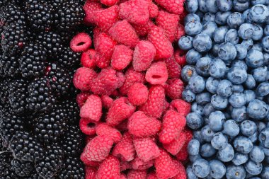 Böğürtlen, ahududu, yaban mersini arka planı. Üst görünüm.