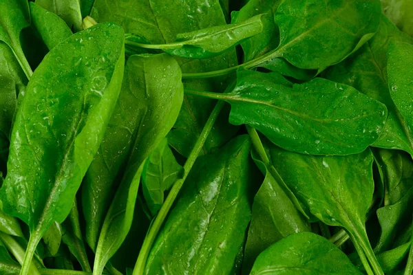 Foglie di spinaci freschi come sfondo. — Foto Stock