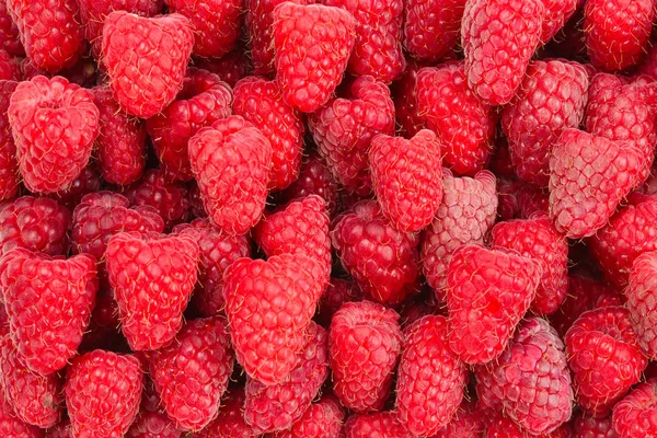 Raspberry as a background, top view. — Stock Photo, Image