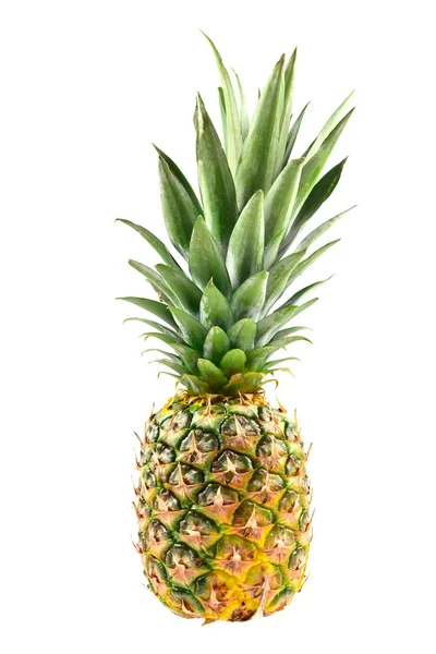 Ananas geïsoleerd op wit. — Stockfoto