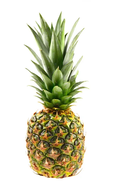 Ananas geïsoleerd op wit. — Stockfoto